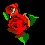 foelrose
