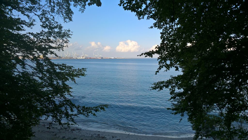wp_20160926_17_00_41_pro_li